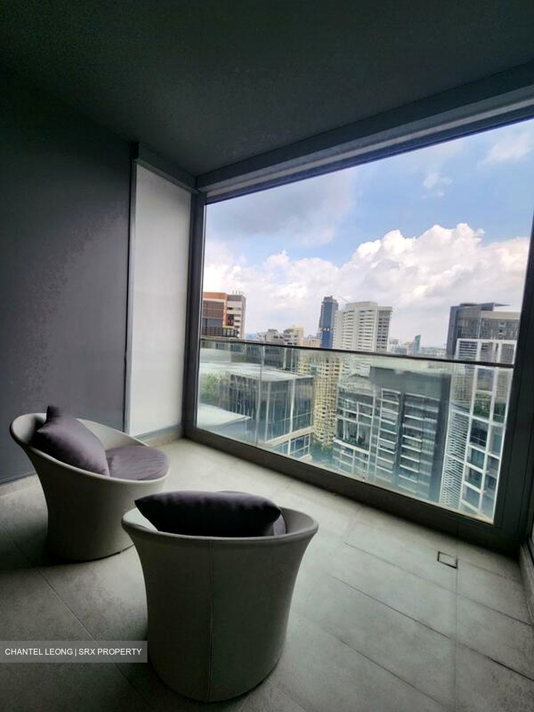 Cairnhill Nine (D9), Apartment #470566921